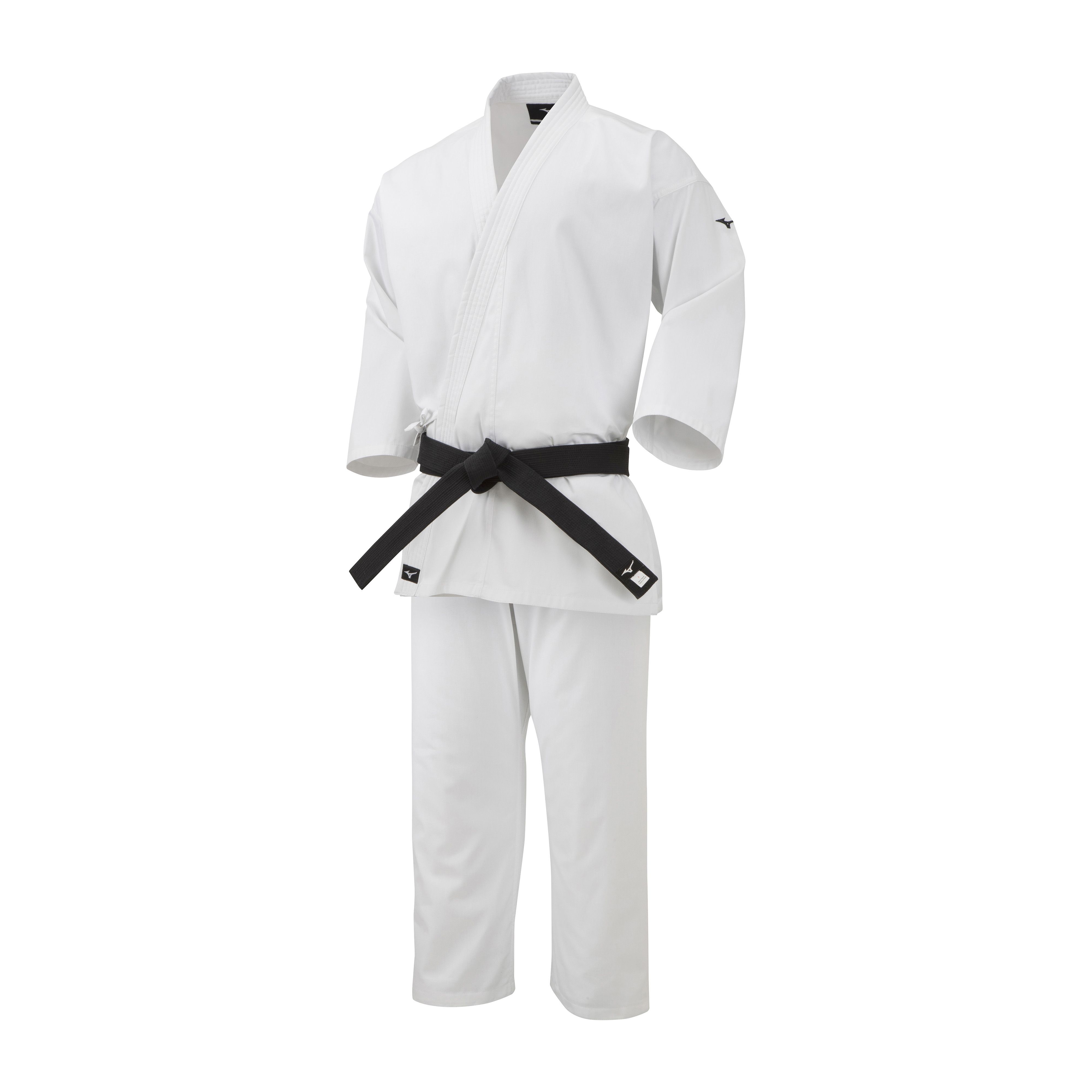 Mizuno Shodan Muške Sportska Odjeća Bijele | CPDWYU164